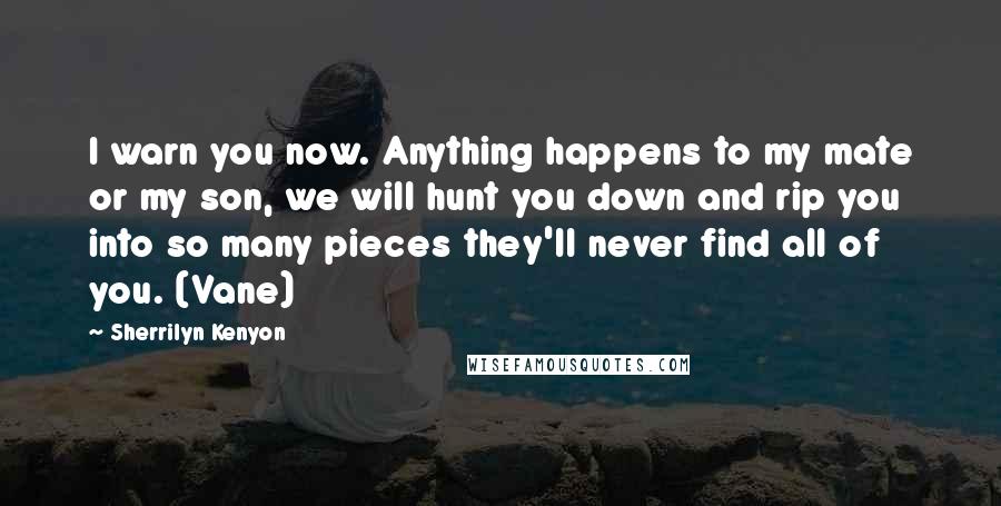 Sherrilyn Kenyon Quotes: I warn you now. Anything happens to my mate or my son, we will hunt you down and rip you into so many pieces they'll never find all of you. (Vane)