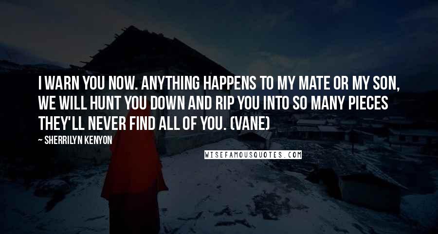 Sherrilyn Kenyon Quotes: I warn you now. Anything happens to my mate or my son, we will hunt you down and rip you into so many pieces they'll never find all of you. (Vane)