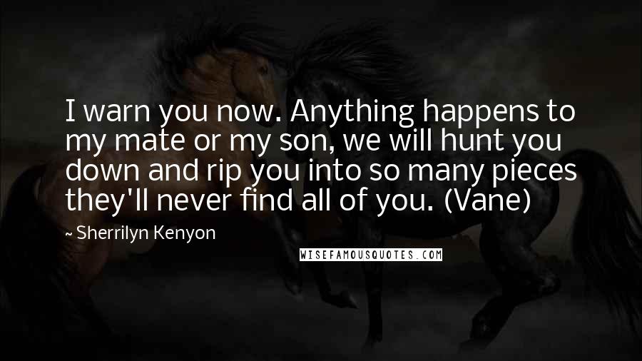 Sherrilyn Kenyon Quotes: I warn you now. Anything happens to my mate or my son, we will hunt you down and rip you into so many pieces they'll never find all of you. (Vane)