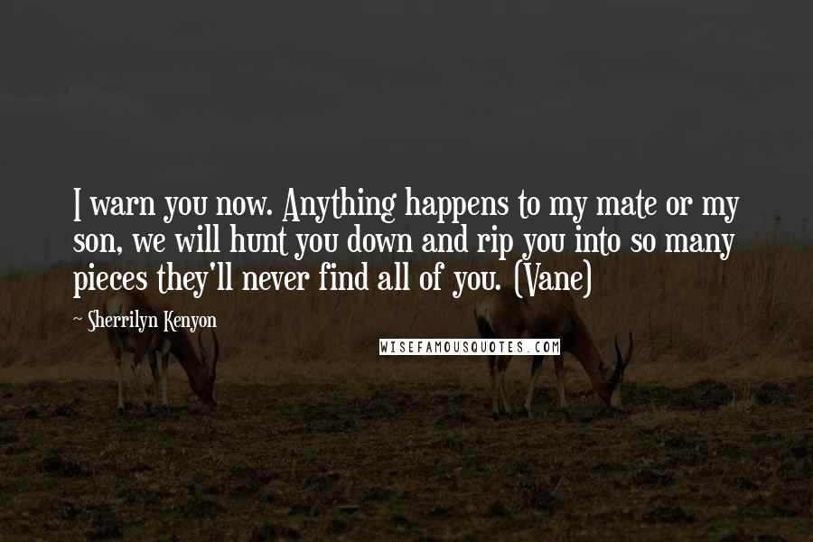 Sherrilyn Kenyon Quotes: I warn you now. Anything happens to my mate or my son, we will hunt you down and rip you into so many pieces they'll never find all of you. (Vane)