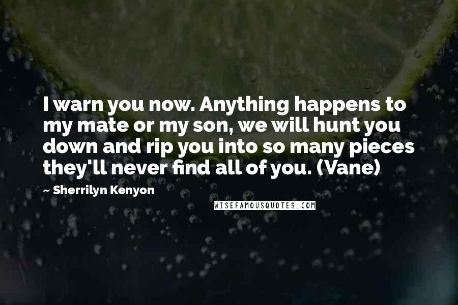 Sherrilyn Kenyon Quotes: I warn you now. Anything happens to my mate or my son, we will hunt you down and rip you into so many pieces they'll never find all of you. (Vane)