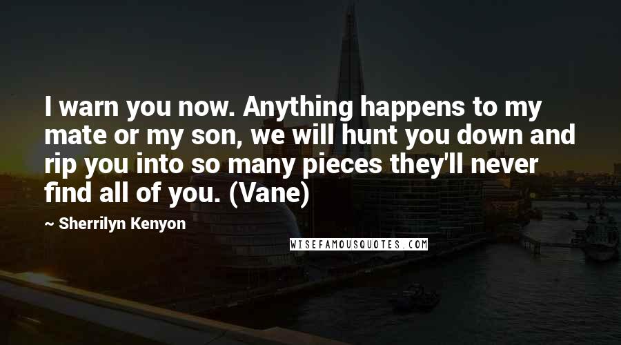 Sherrilyn Kenyon Quotes: I warn you now. Anything happens to my mate or my son, we will hunt you down and rip you into so many pieces they'll never find all of you. (Vane)