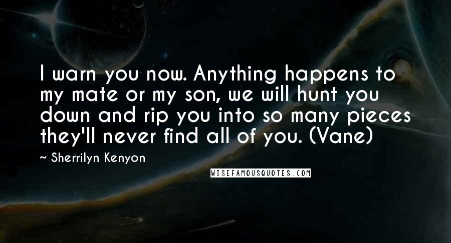 Sherrilyn Kenyon Quotes: I warn you now. Anything happens to my mate or my son, we will hunt you down and rip you into so many pieces they'll never find all of you. (Vane)