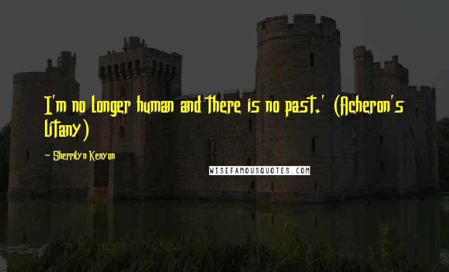 Sherrilyn Kenyon Quotes: I'm no longer human and there is no past.' (Acheron's litany)