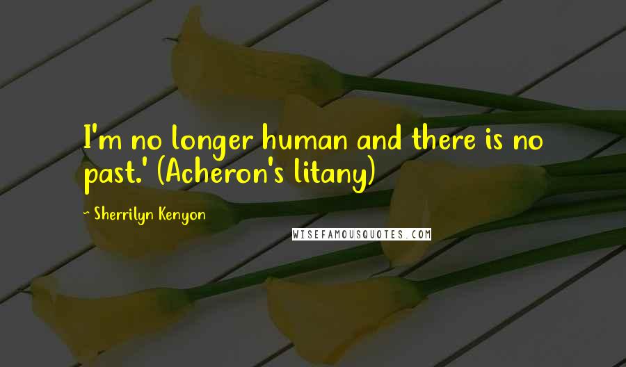 Sherrilyn Kenyon Quotes: I'm no longer human and there is no past.' (Acheron's litany)