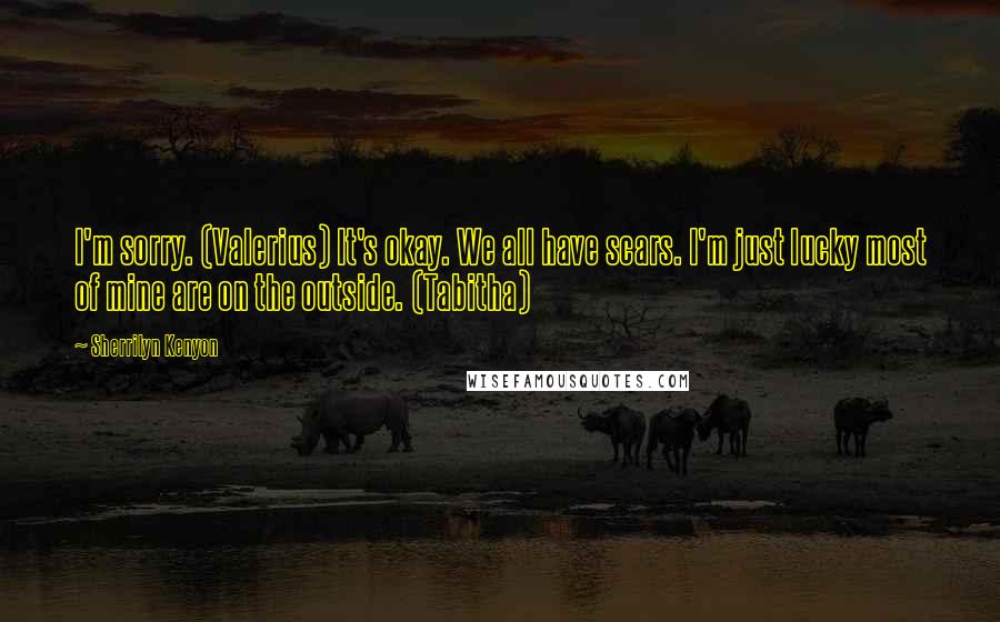 Sherrilyn Kenyon Quotes: I'm sorry. (Valerius) It's okay. We all have scars. I'm just lucky most of mine are on the outside. (Tabitha)