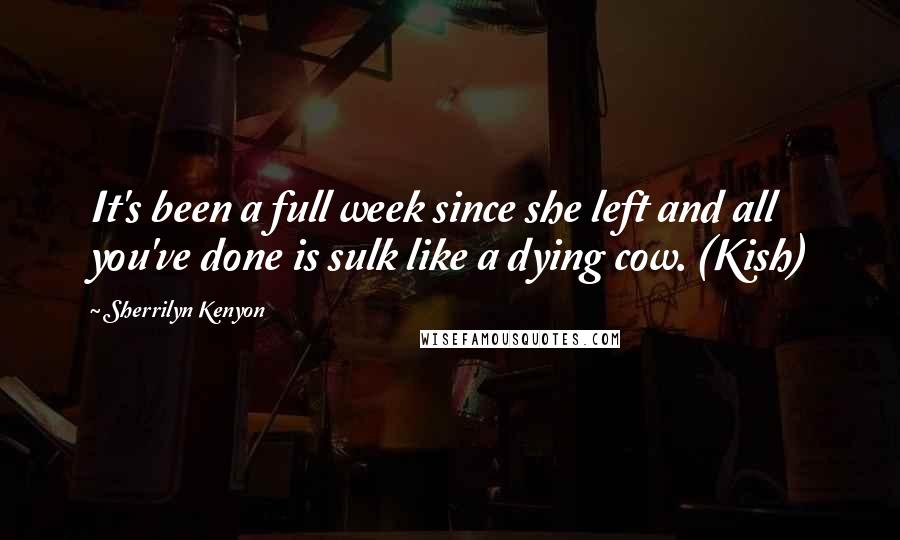 Sherrilyn Kenyon Quotes: It's been a full week since she left and all you've done is sulk like a dying cow. (Kish)