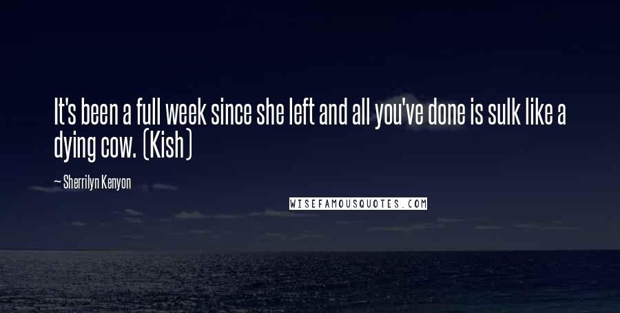 Sherrilyn Kenyon Quotes: It's been a full week since she left and all you've done is sulk like a dying cow. (Kish)