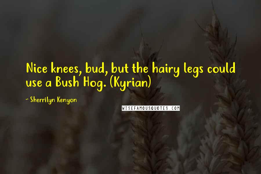 Sherrilyn Kenyon Quotes: Nice knees, bud, but the hairy legs could use a Bush Hog. (Kyrian)