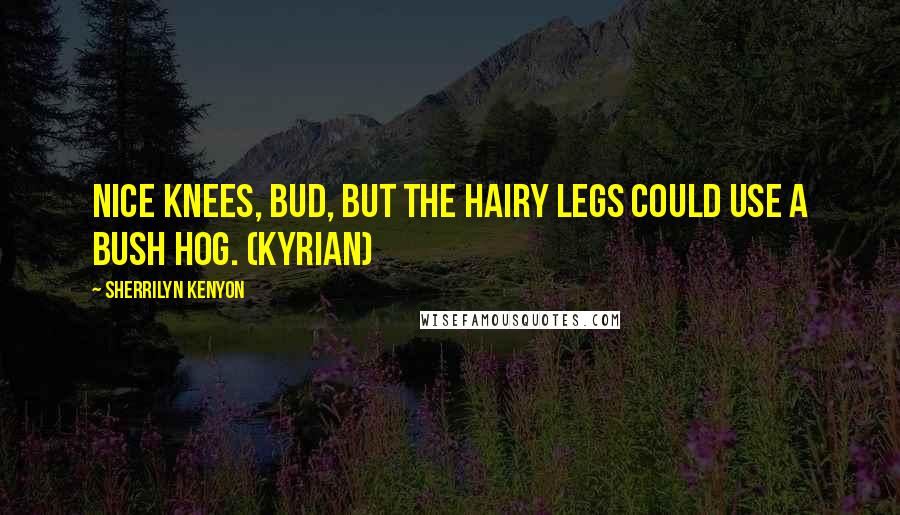 Sherrilyn Kenyon Quotes: Nice knees, bud, but the hairy legs could use a Bush Hog. (Kyrian)