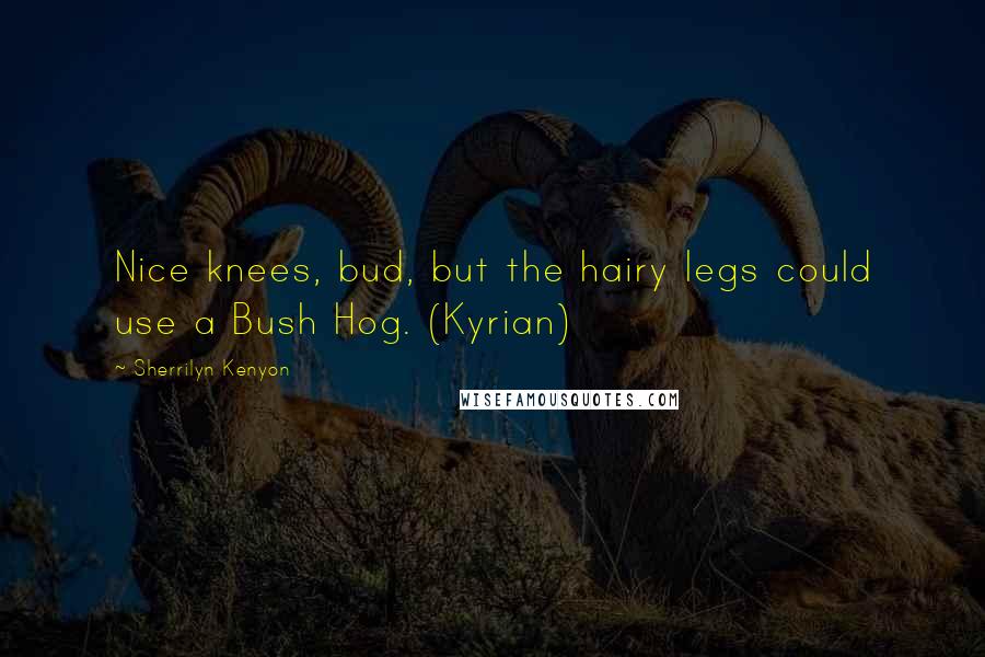 Sherrilyn Kenyon Quotes: Nice knees, bud, but the hairy legs could use a Bush Hog. (Kyrian)