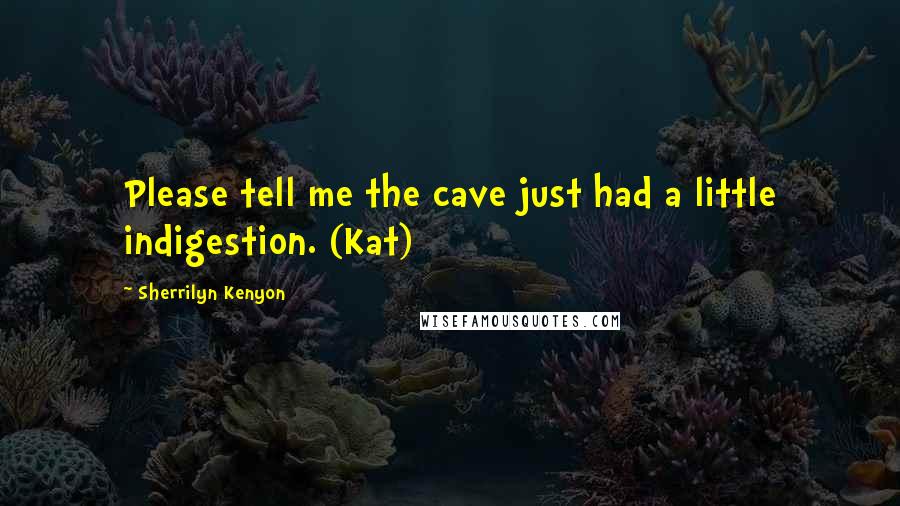 Sherrilyn Kenyon Quotes: Please tell me the cave just had a little indigestion. (Kat)