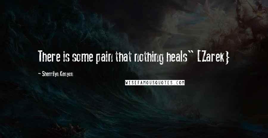 Sherrilyn Kenyon Quotes: There is some pain that nothing heals" [Zarek}