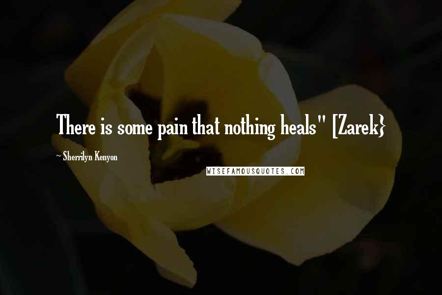 Sherrilyn Kenyon Quotes: There is some pain that nothing heals" [Zarek}