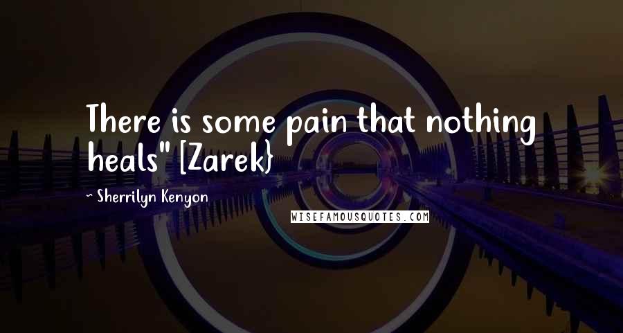 Sherrilyn Kenyon Quotes: There is some pain that nothing heals" [Zarek}