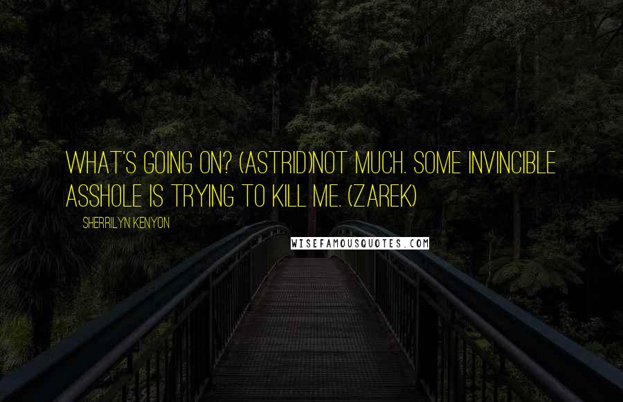 Sherrilyn Kenyon Quotes: What's going on? (Astrid)Not much. Some invincible asshole is trying to kill me. (Zarek)