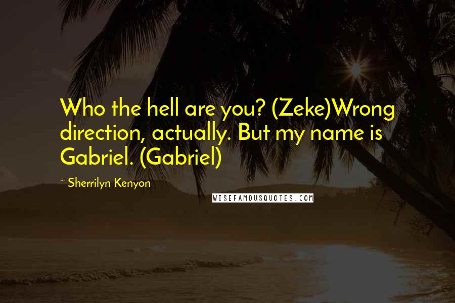 Sherrilyn Kenyon Quotes: Who the hell are you? (Zeke)Wrong direction, actually. But my name is Gabriel. (Gabriel)