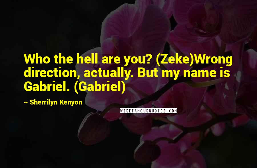 Sherrilyn Kenyon Quotes: Who the hell are you? (Zeke)Wrong direction, actually. But my name is Gabriel. (Gabriel)
