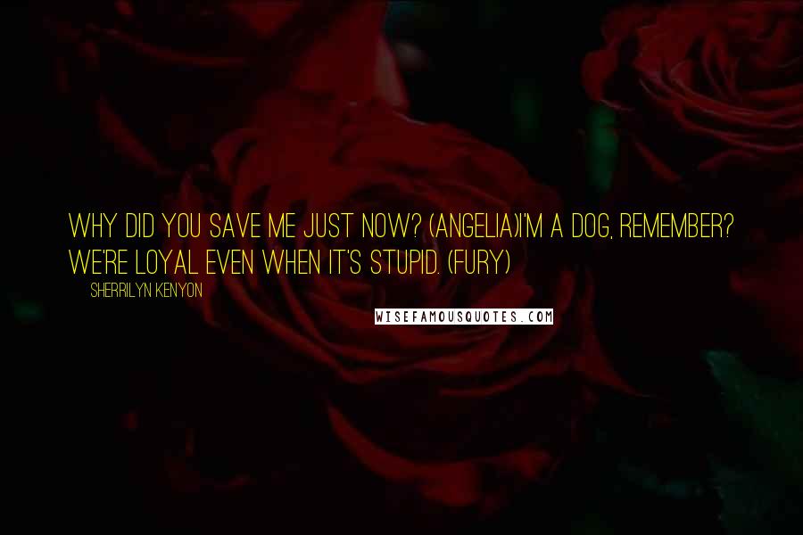 Sherrilyn Kenyon Quotes: Why did you save me just now? (Angelia)I'm a dog, remember? We're loyal even when it's stupid. (Fury)