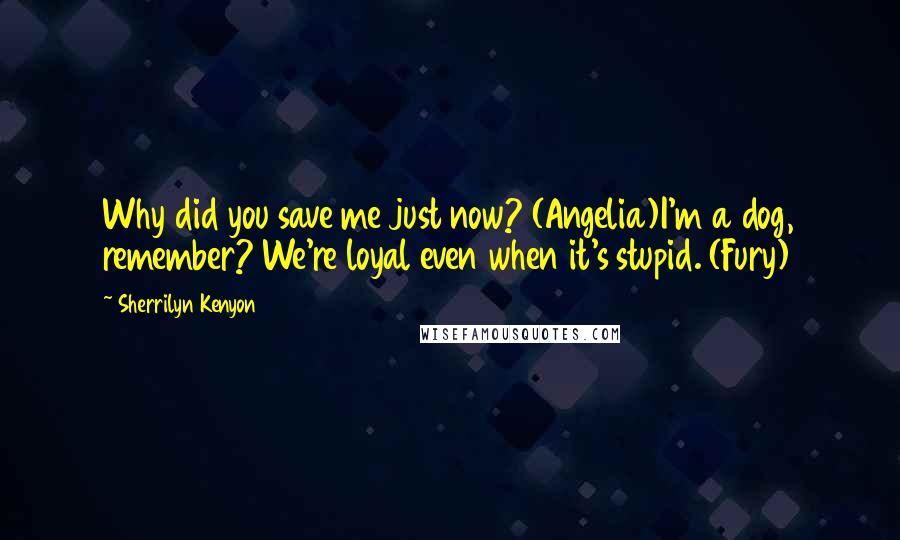 Sherrilyn Kenyon Quotes: Why did you save me just now? (Angelia)I'm a dog, remember? We're loyal even when it's stupid. (Fury)