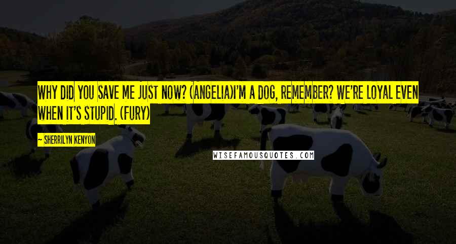 Sherrilyn Kenyon Quotes: Why did you save me just now? (Angelia)I'm a dog, remember? We're loyal even when it's stupid. (Fury)
