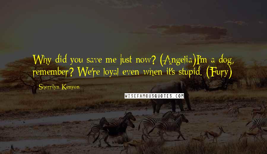 Sherrilyn Kenyon Quotes: Why did you save me just now? (Angelia)I'm a dog, remember? We're loyal even when it's stupid. (Fury)
