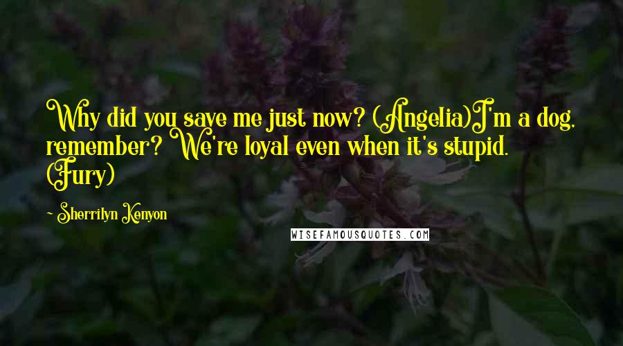 Sherrilyn Kenyon Quotes: Why did you save me just now? (Angelia)I'm a dog, remember? We're loyal even when it's stupid. (Fury)
