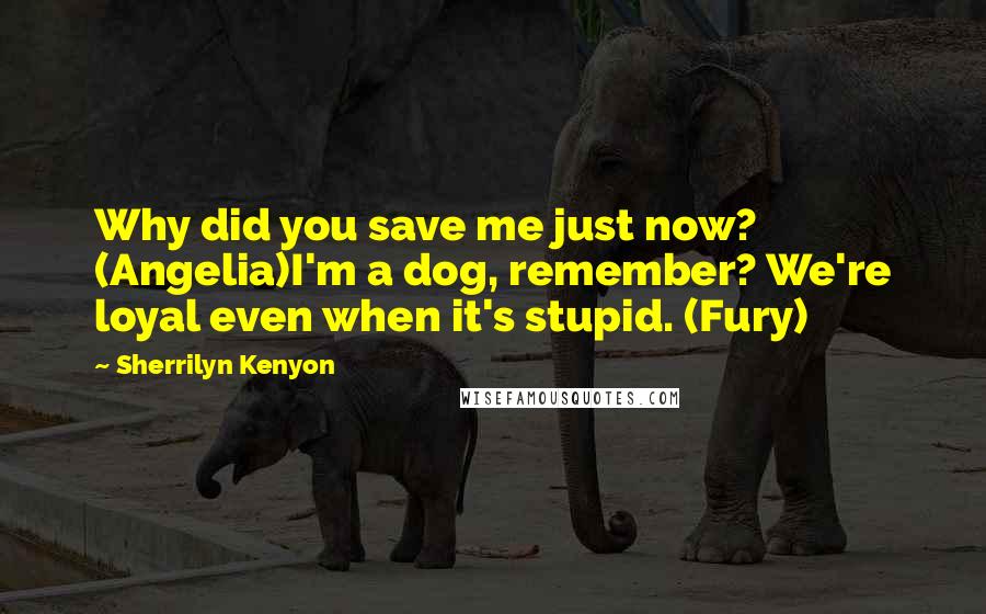 Sherrilyn Kenyon Quotes: Why did you save me just now? (Angelia)I'm a dog, remember? We're loyal even when it's stupid. (Fury)