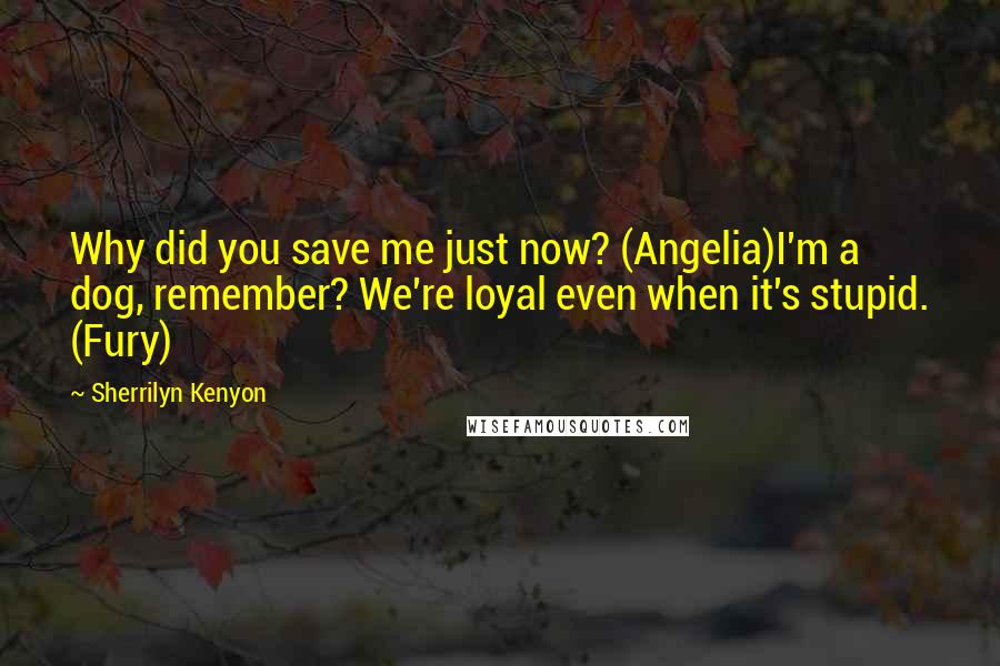 Sherrilyn Kenyon Quotes: Why did you save me just now? (Angelia)I'm a dog, remember? We're loyal even when it's stupid. (Fury)