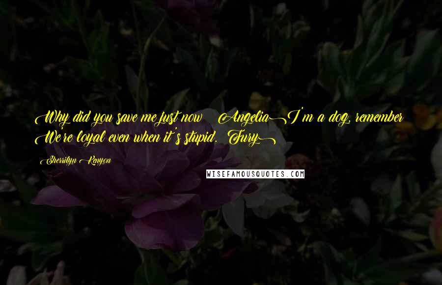 Sherrilyn Kenyon Quotes: Why did you save me just now? (Angelia)I'm a dog, remember? We're loyal even when it's stupid. (Fury)
