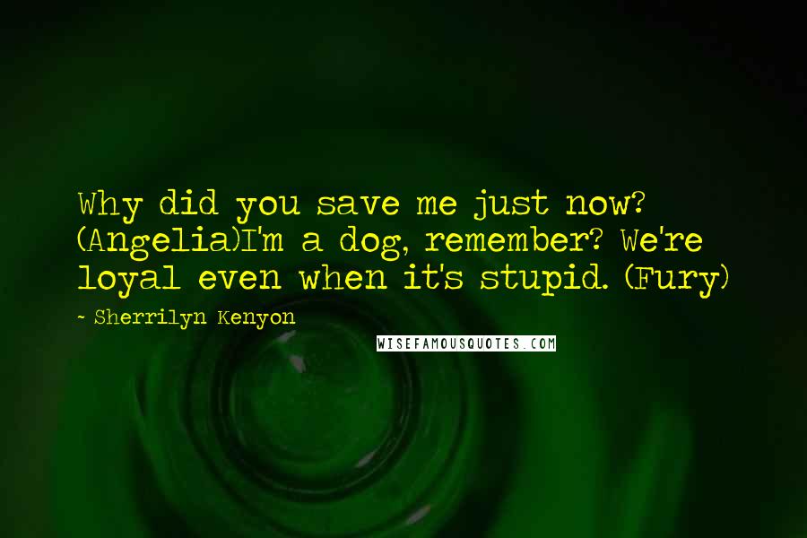 Sherrilyn Kenyon Quotes: Why did you save me just now? (Angelia)I'm a dog, remember? We're loyal even when it's stupid. (Fury)