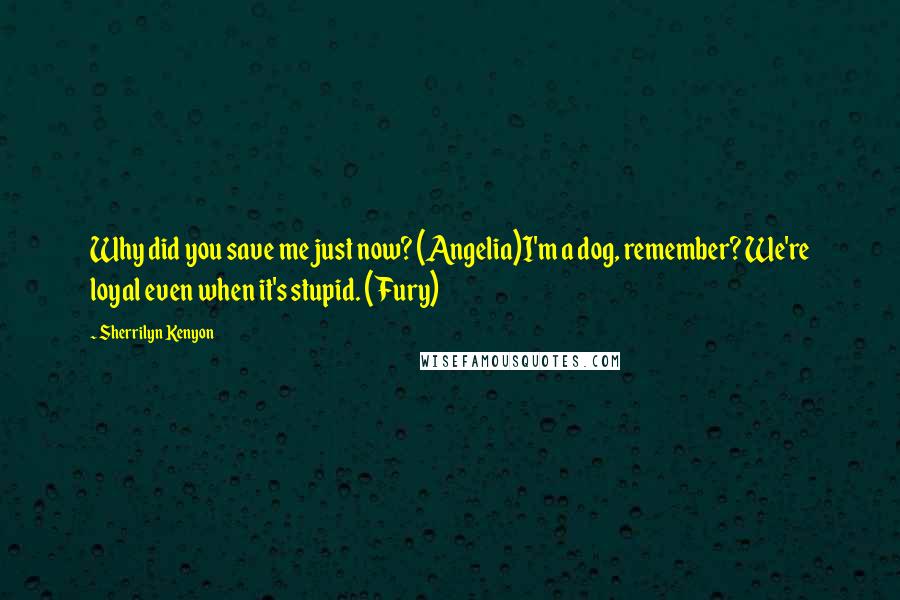 Sherrilyn Kenyon Quotes: Why did you save me just now? (Angelia)I'm a dog, remember? We're loyal even when it's stupid. (Fury)