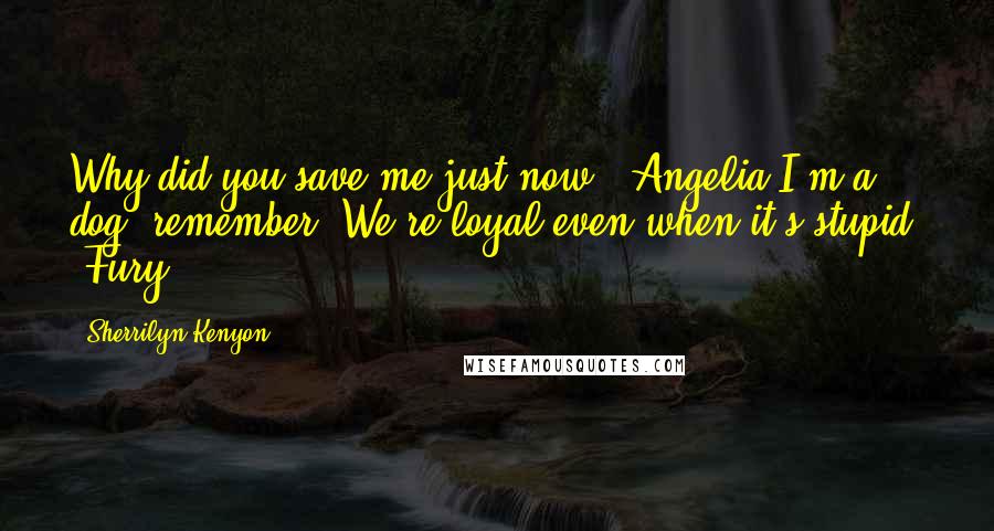Sherrilyn Kenyon Quotes: Why did you save me just now? (Angelia)I'm a dog, remember? We're loyal even when it's stupid. (Fury)