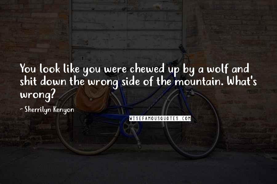 Sherrilyn Kenyon Quotes: You look like you were chewed up by a wolf and shit down the wrong side of the mountain. What's wrong?