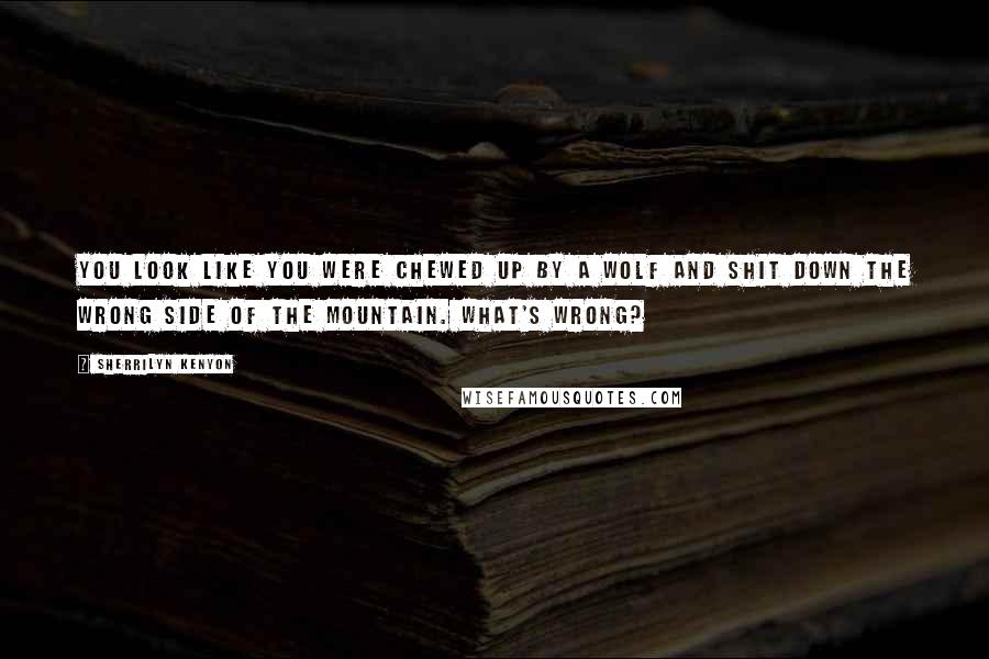 Sherrilyn Kenyon Quotes: You look like you were chewed up by a wolf and shit down the wrong side of the mountain. What's wrong?