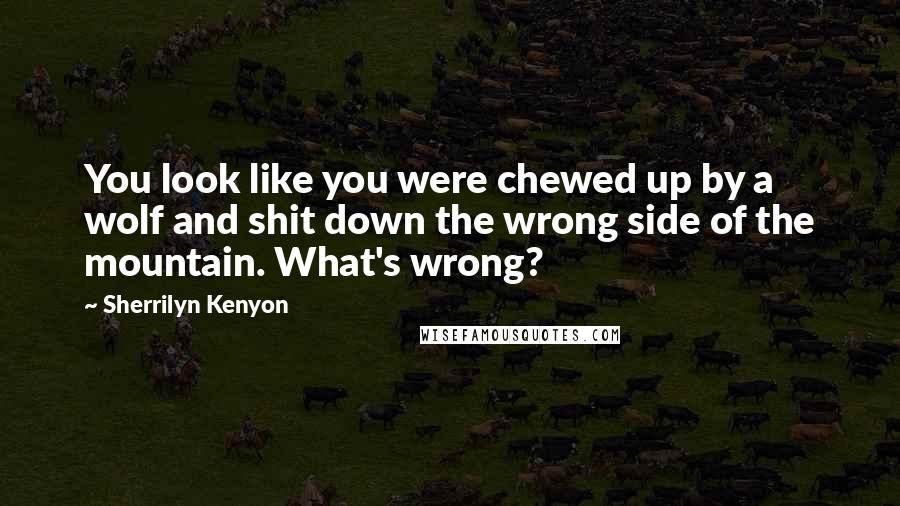 Sherrilyn Kenyon Quotes: You look like you were chewed up by a wolf and shit down the wrong side of the mountain. What's wrong?