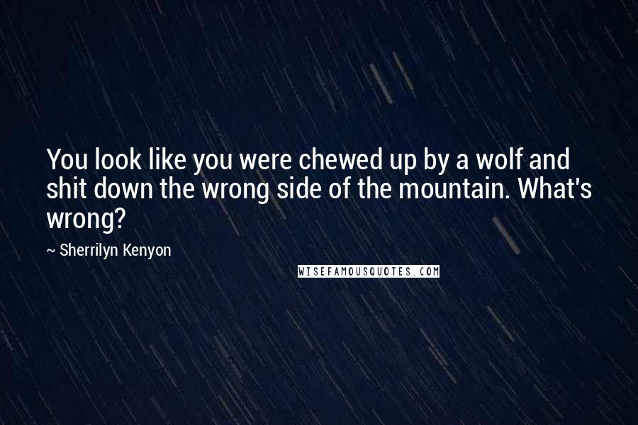 Sherrilyn Kenyon Quotes: You look like you were chewed up by a wolf and shit down the wrong side of the mountain. What's wrong?