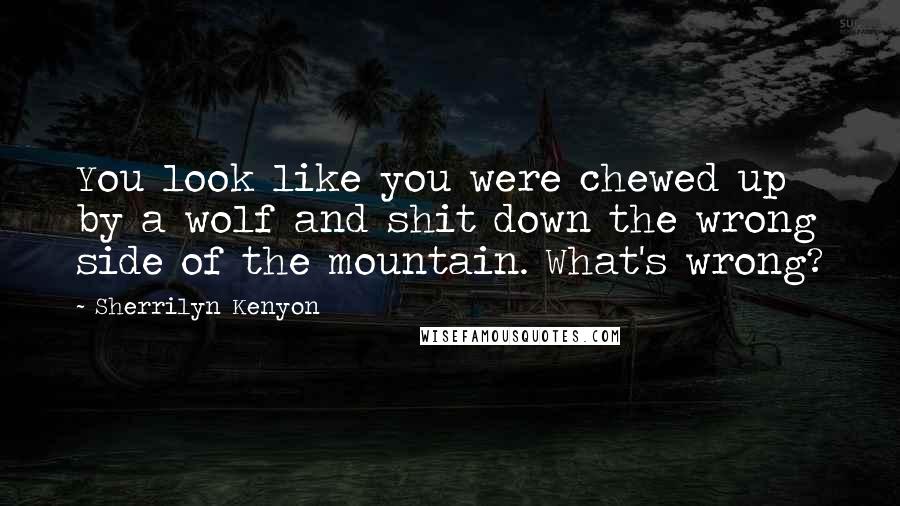 Sherrilyn Kenyon Quotes: You look like you were chewed up by a wolf and shit down the wrong side of the mountain. What's wrong?