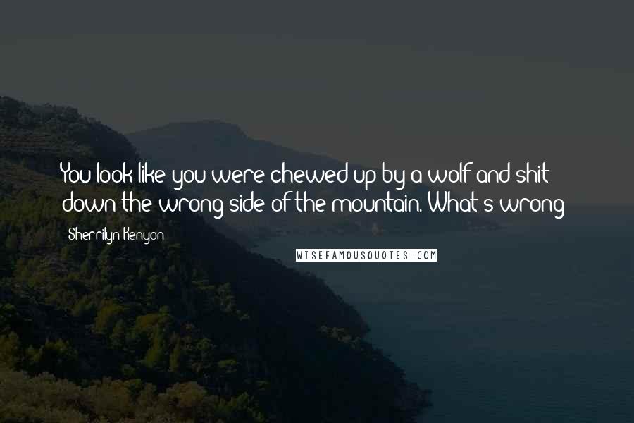 Sherrilyn Kenyon Quotes: You look like you were chewed up by a wolf and shit down the wrong side of the mountain. What's wrong?