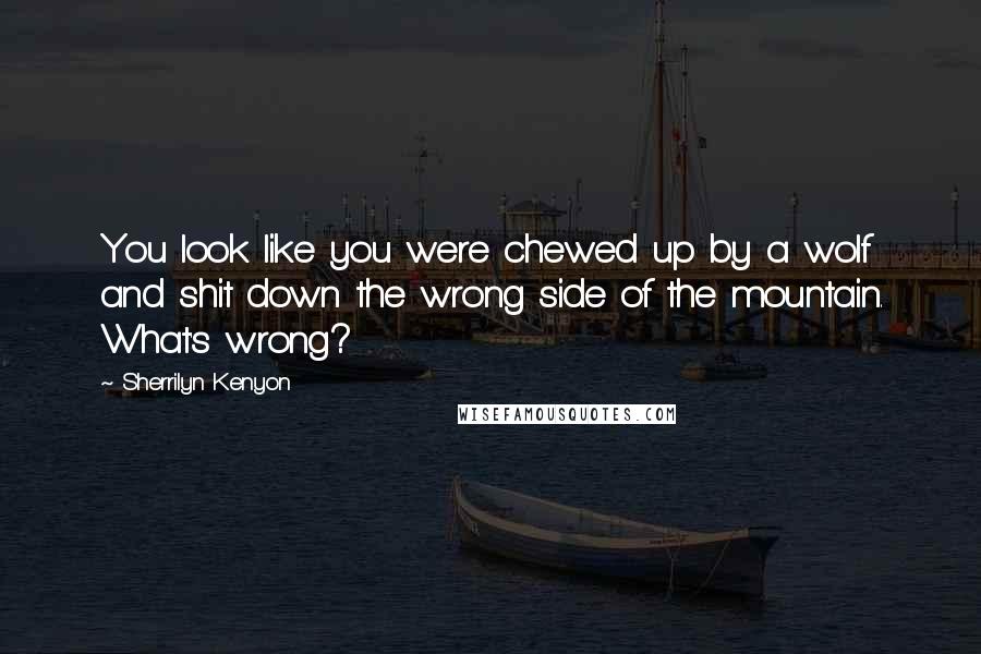 Sherrilyn Kenyon Quotes: You look like you were chewed up by a wolf and shit down the wrong side of the mountain. What's wrong?