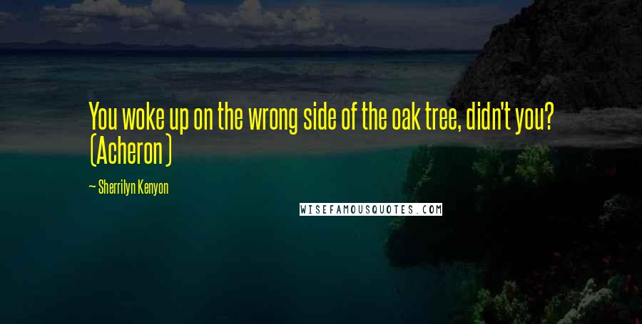 Sherrilyn Kenyon Quotes: You woke up on the wrong side of the oak tree, didn't you? (Acheron)