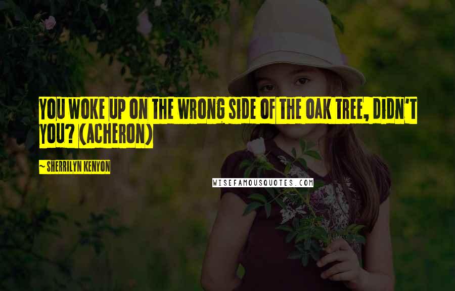 Sherrilyn Kenyon Quotes: You woke up on the wrong side of the oak tree, didn't you? (Acheron)