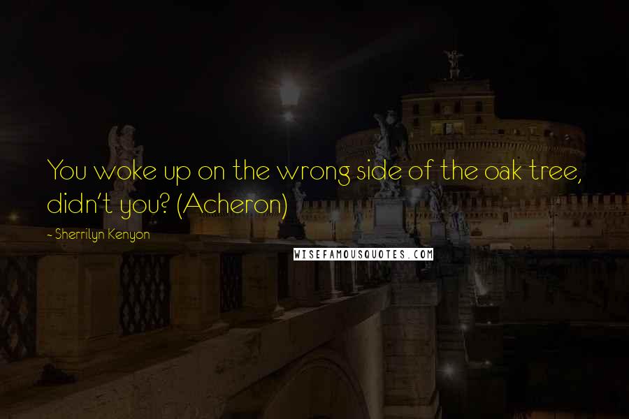 Sherrilyn Kenyon Quotes: You woke up on the wrong side of the oak tree, didn't you? (Acheron)