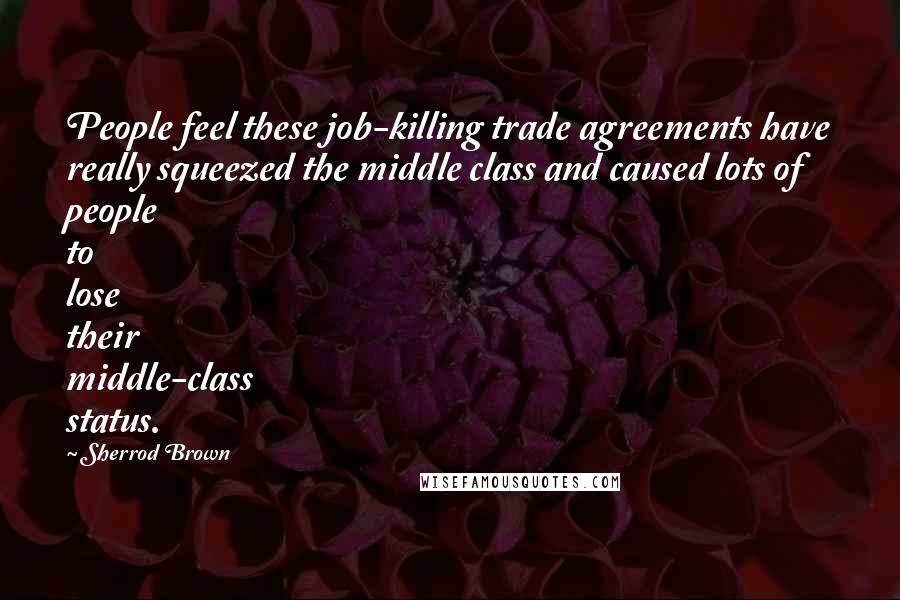 Sherrod Brown Quotes: People feel these job-killing trade agreements have really squeezed the middle class and caused lots of people to lose their middle-class status.