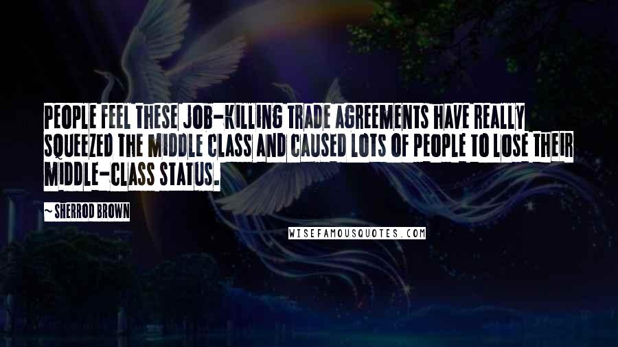 Sherrod Brown Quotes: People feel these job-killing trade agreements have really squeezed the middle class and caused lots of people to lose their middle-class status.