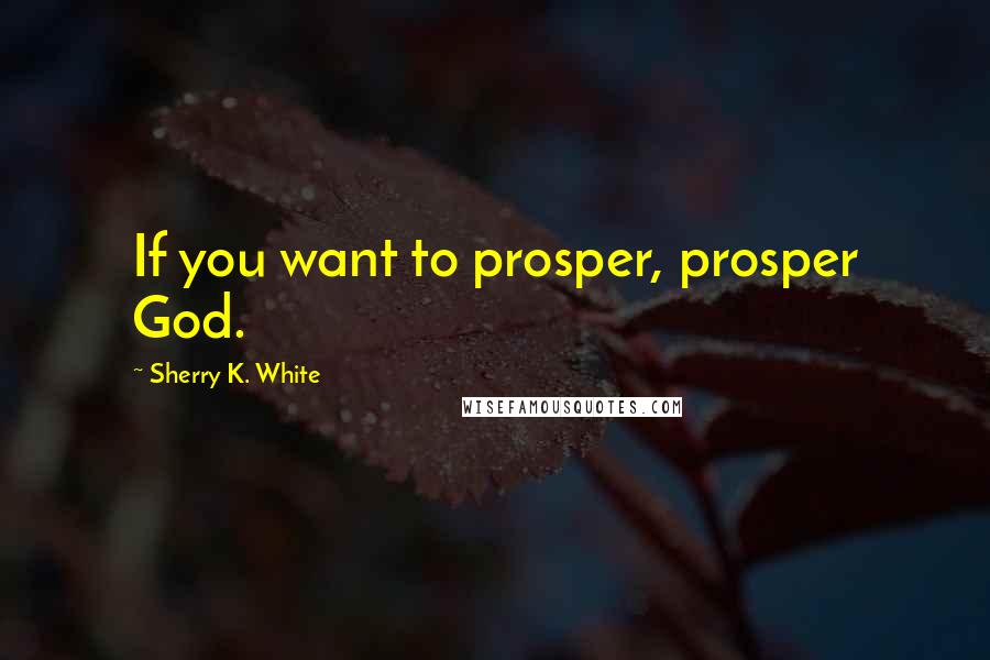 Sherry K. White Quotes: If you want to prosper, prosper God.
