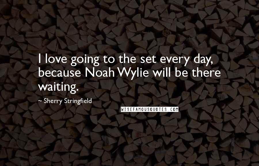 Sherry Stringfield Quotes: I love going to the set every day, because Noah Wylie will be there waiting.