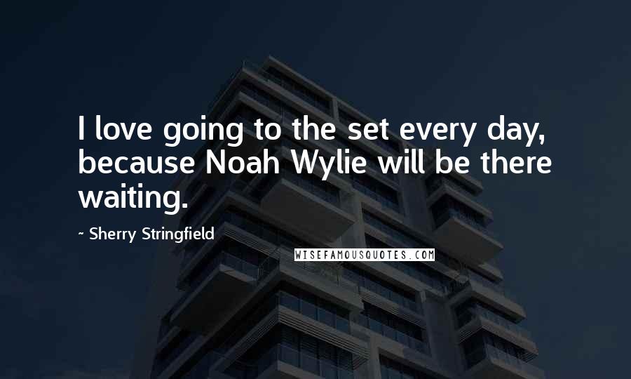 Sherry Stringfield Quotes: I love going to the set every day, because Noah Wylie will be there waiting.