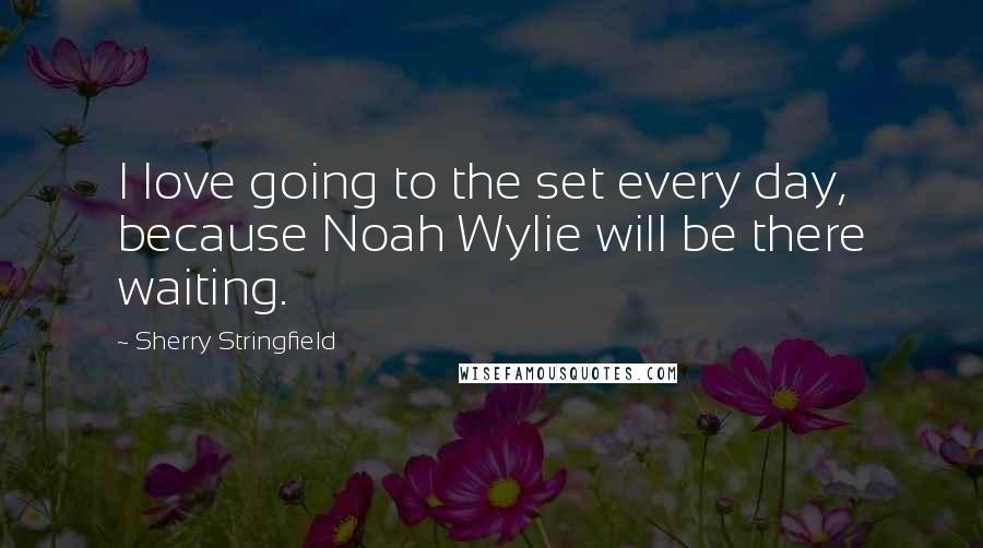 Sherry Stringfield Quotes: I love going to the set every day, because Noah Wylie will be there waiting.