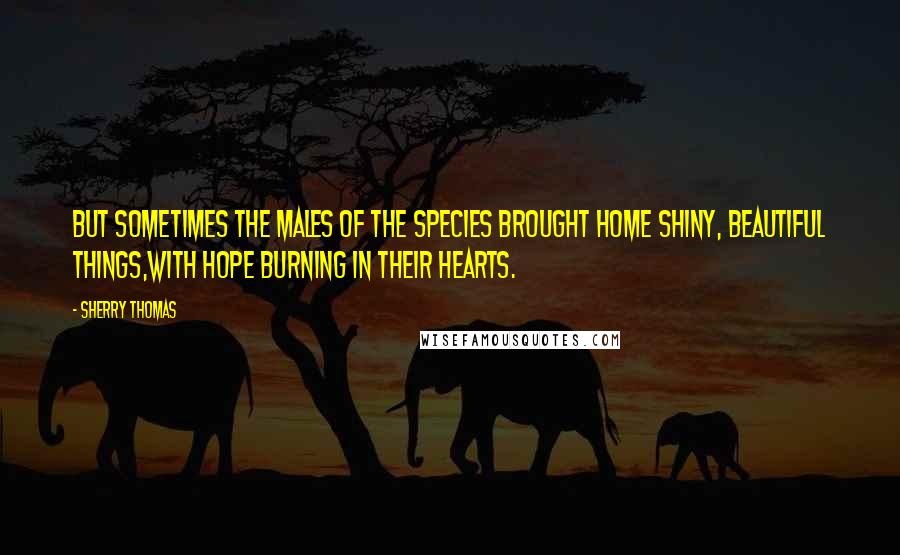 Sherry Thomas Quotes: But sometimes the males of the species brought home shiny, beautiful things,with hope burning in their hearts.